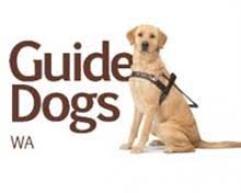 guide dogs wa